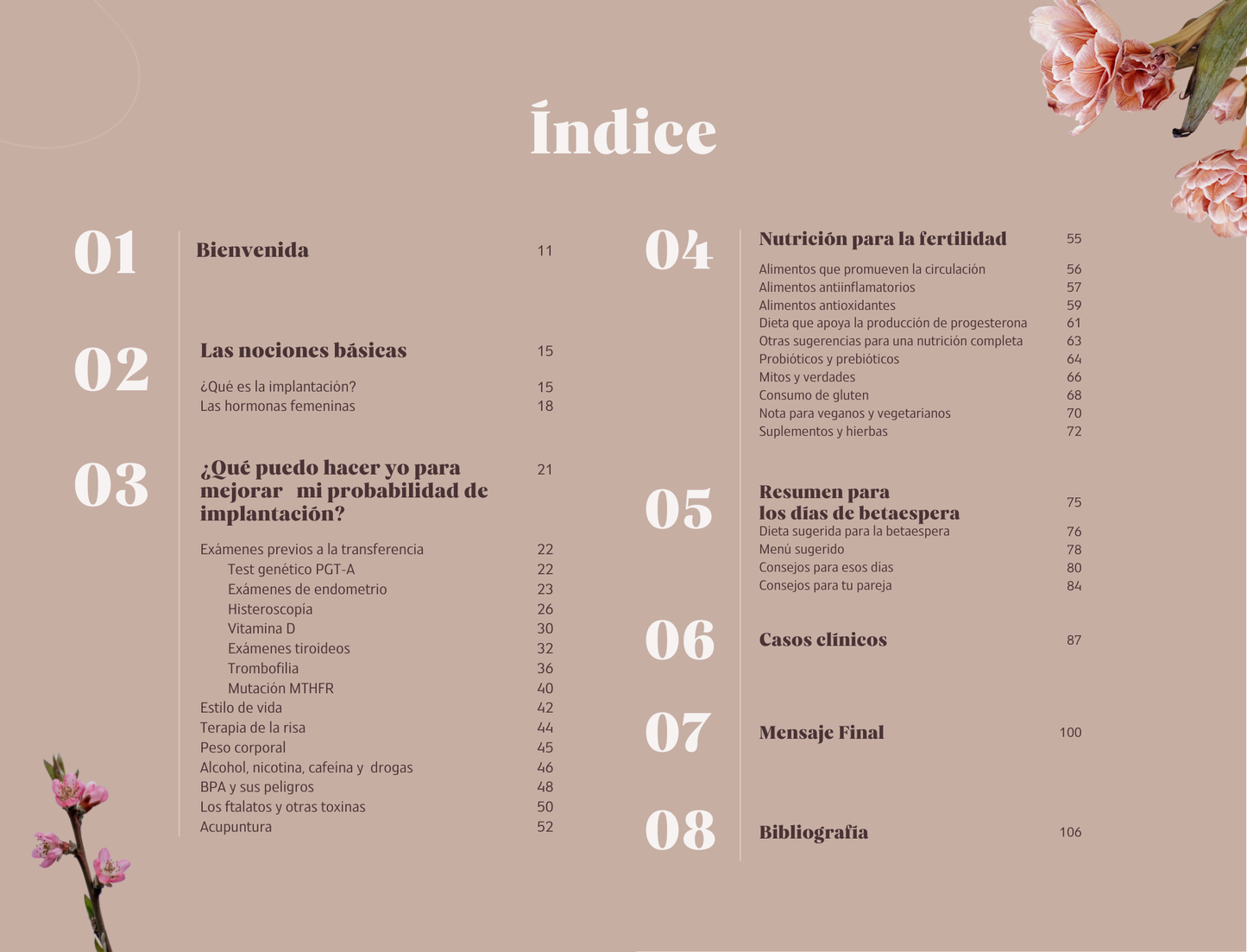 Navegando por la Betaespera (versión E-book)